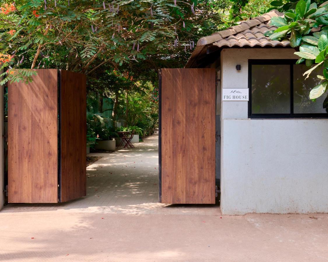 Fig House Anjuna-Chapora Road , Siolim 1Bhk Suite Oxel Экстерьер фото